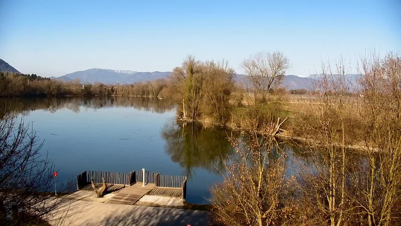 Webcam Ribnik Vrbje – Žalec