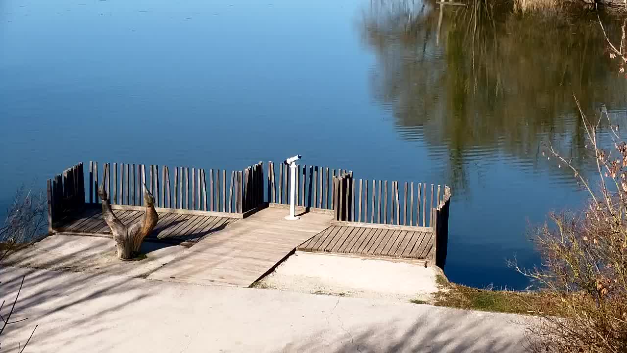 Webcam Ribnik Vrbje – Žalec