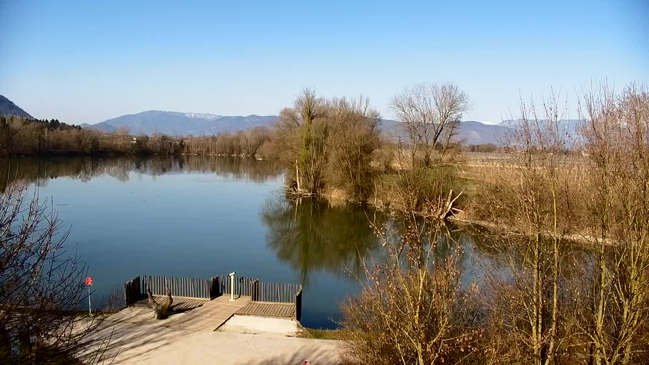 Webcam Ribnik Vrbje – Žalec