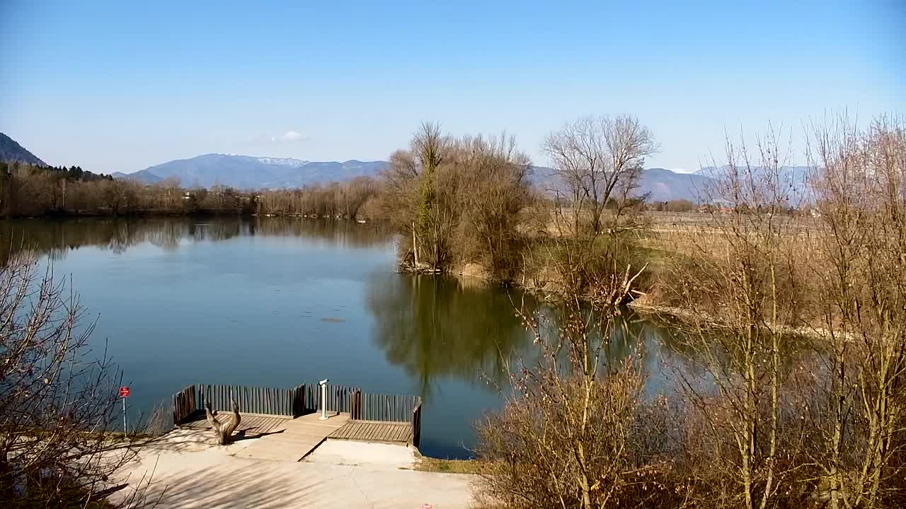 Webcam Ribnik Vrbje – Žalec