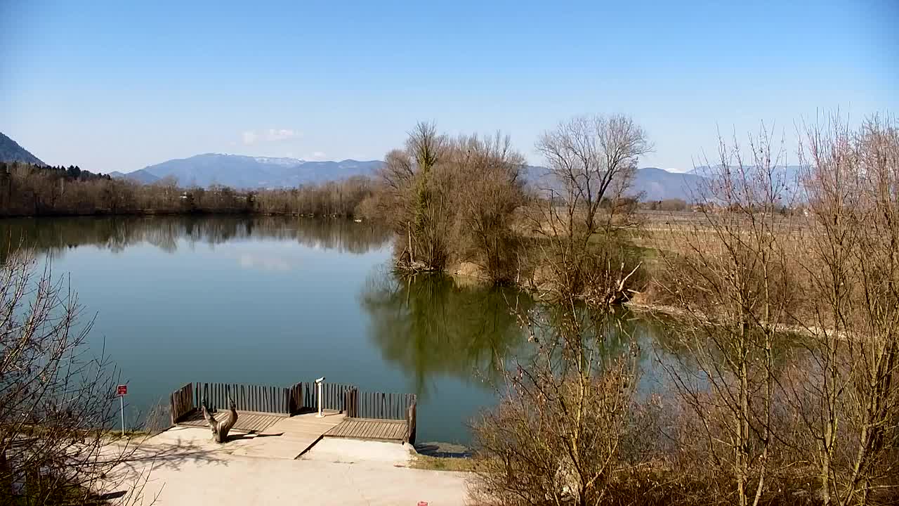 Webcam Ribnik Vrbje – Žalec