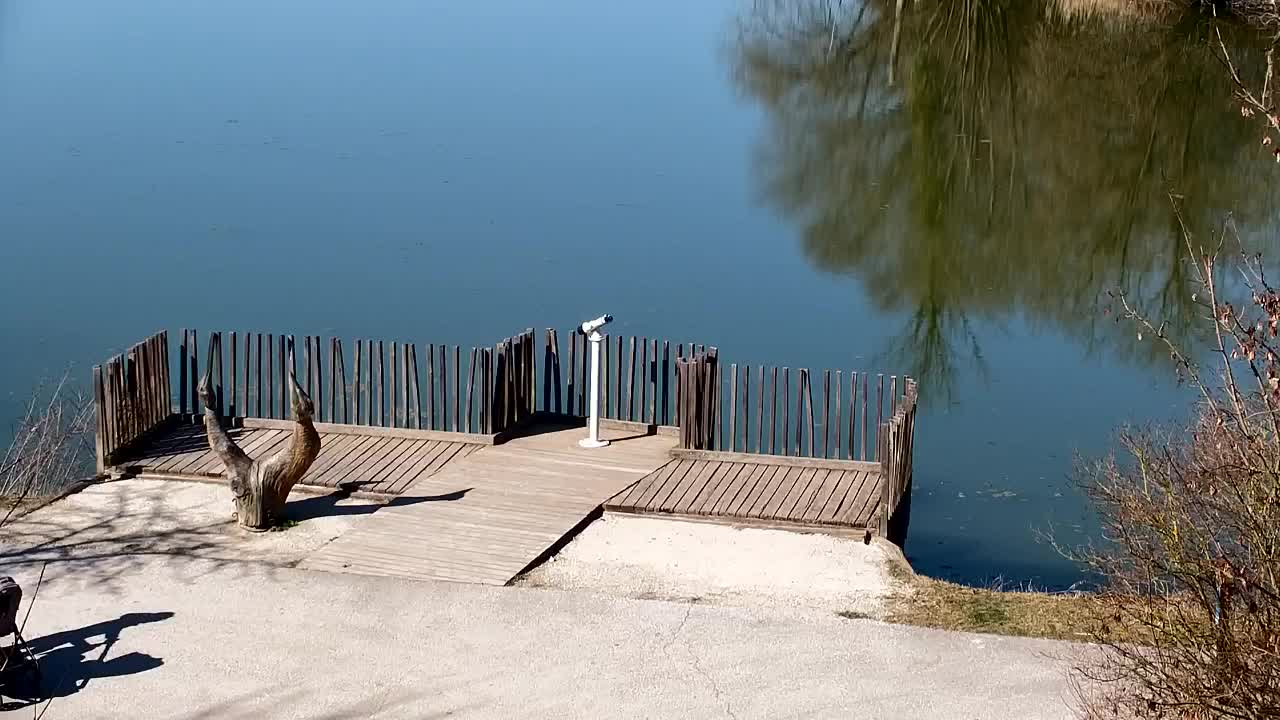 Webcam Ribnik Vrbje – Žalec