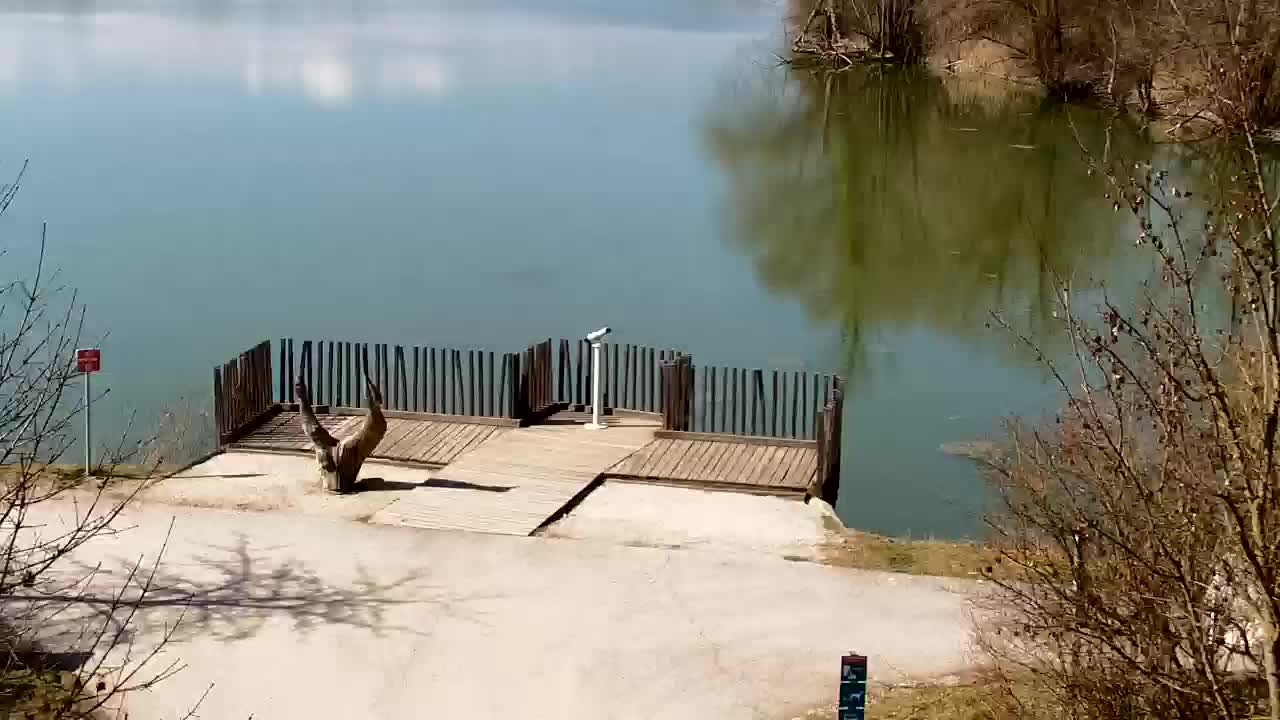 Webcam Ribnik Vrbje – Žalec