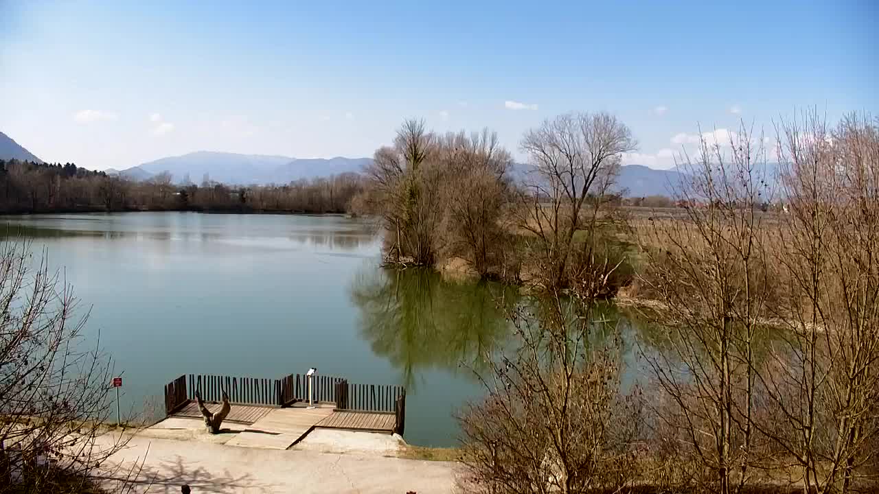 Webcam Ribnik Vrbje – Žalec