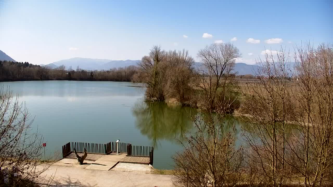 Webcam Ribnik Vrbje – Žalec