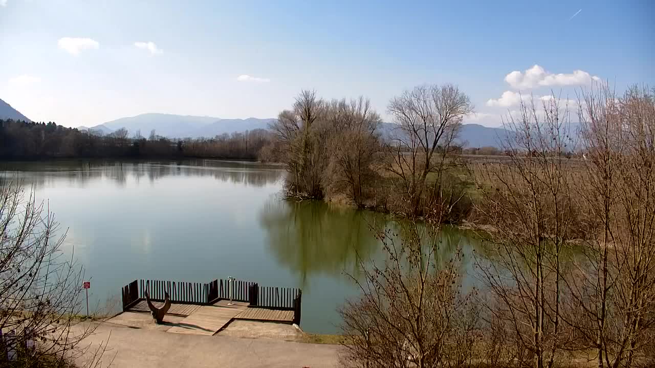 Webcam Ribnik Vrbje – Žalec