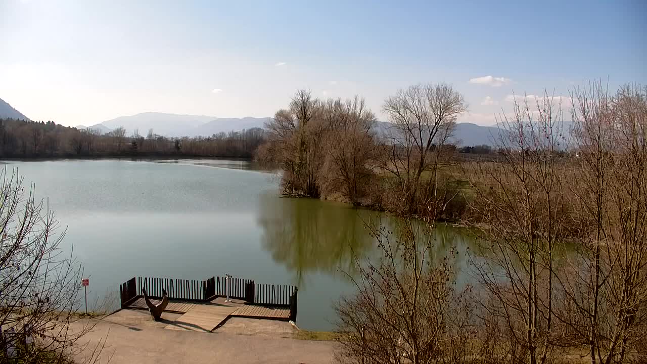 Webcam Ribnik Vrbje – Žalec