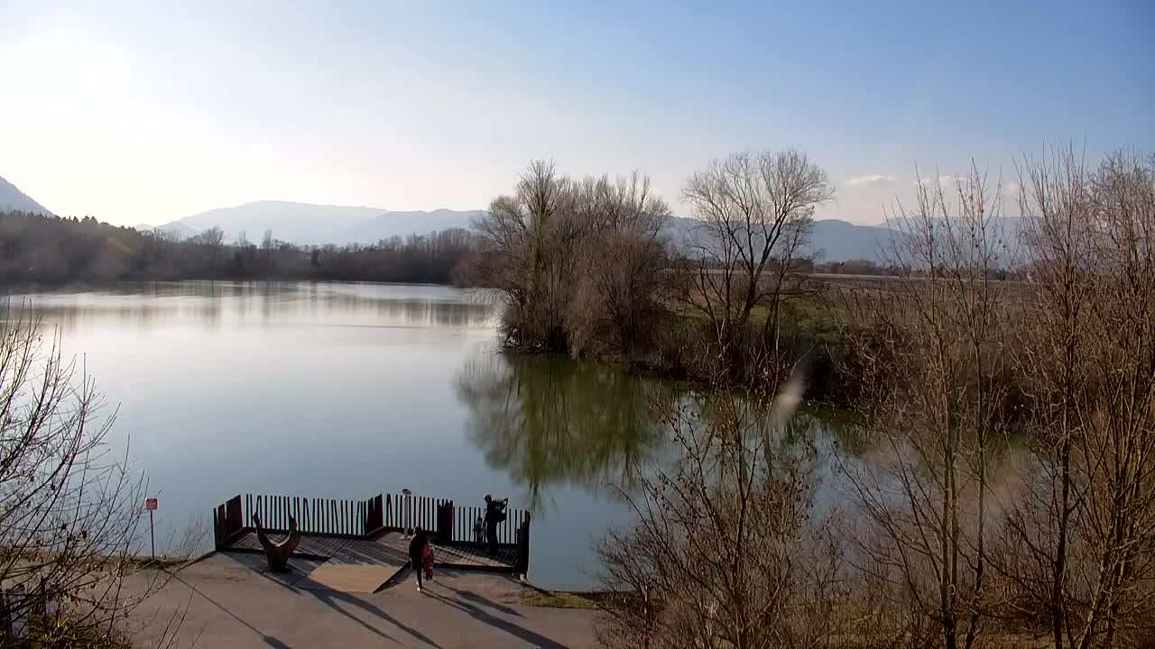 Webcam Ribnik Vrbje – Žalec
