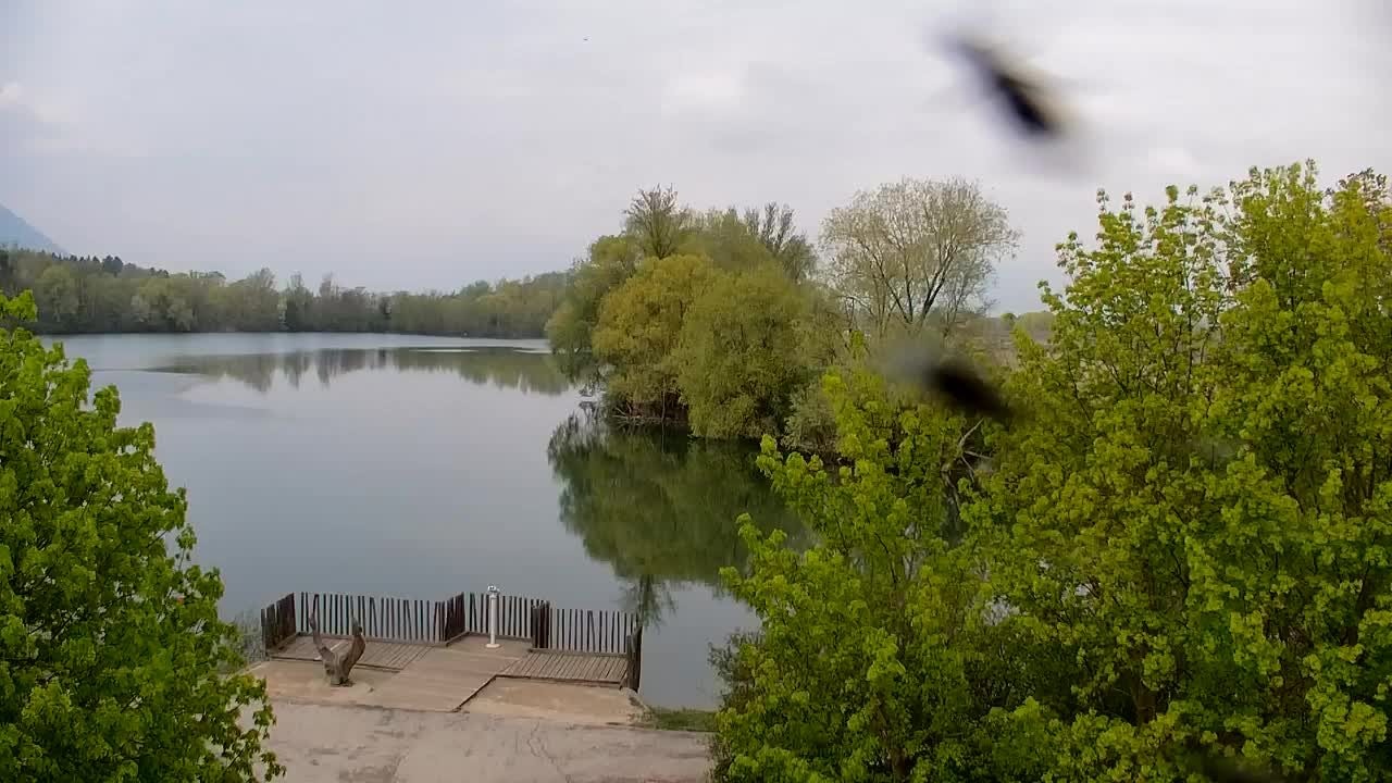 Spletna kamera Ribnik Vrbje – Žalec