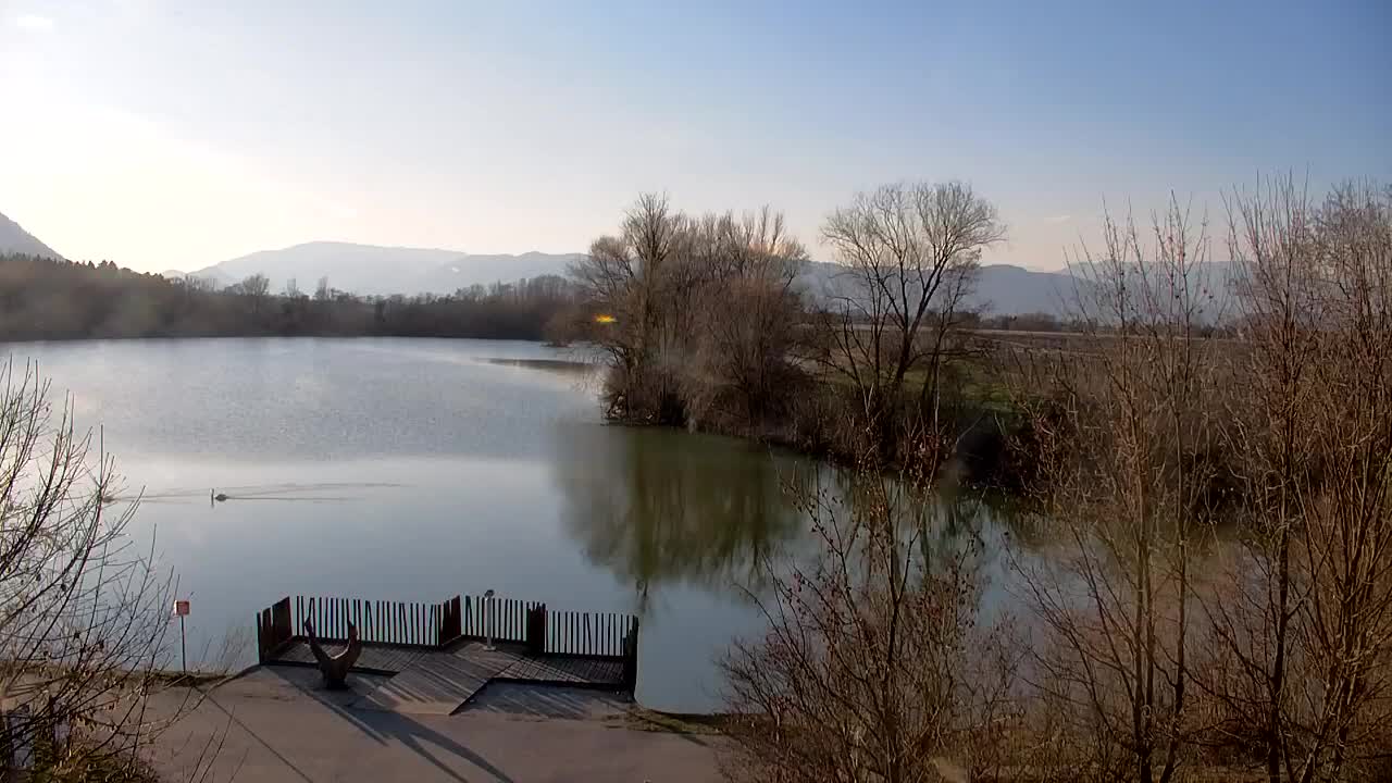 Web kamera Ribnik Vrbje – Žalec