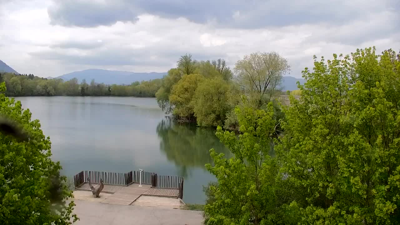 Webcam Ribnik Vrbje – Žalec