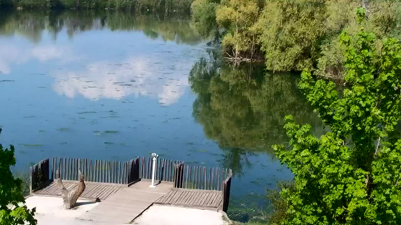 Webcam Ribnik Vrbje – Žalec