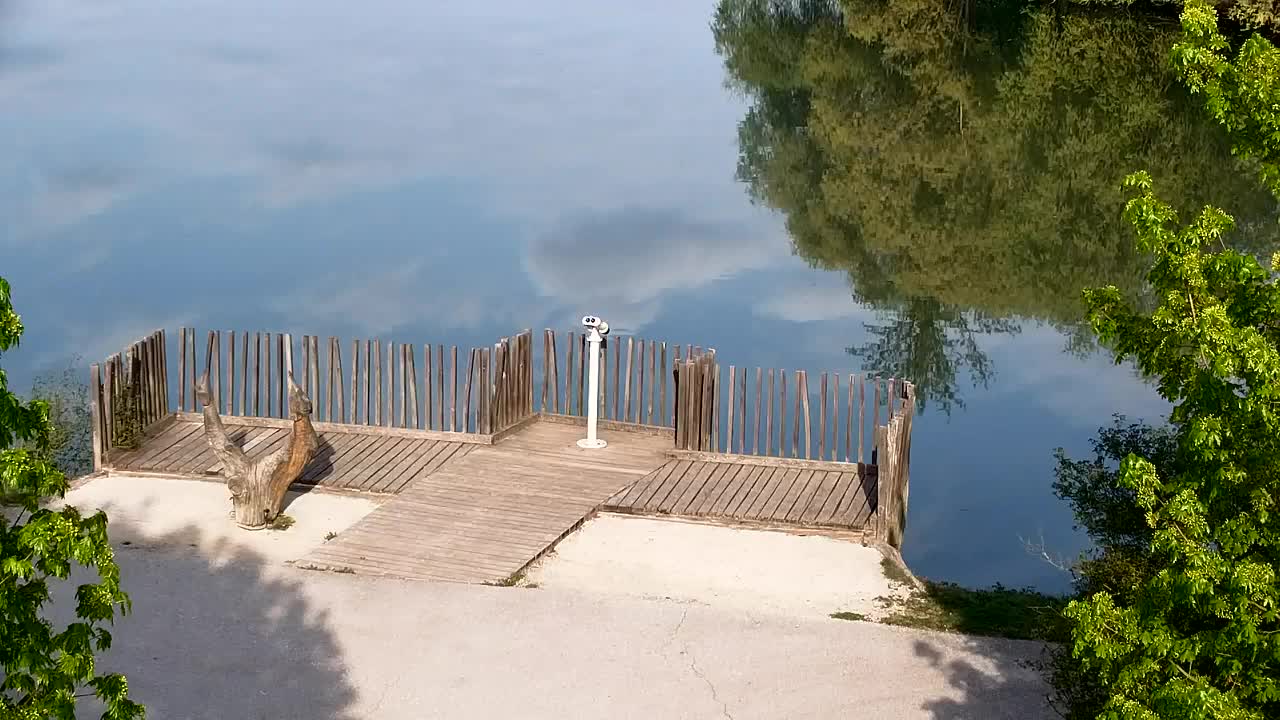 Webcam Ribnik Vrbje – Žalec