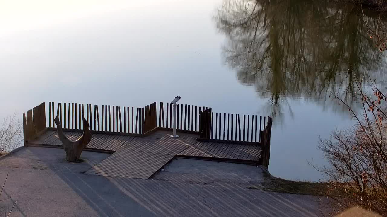 Webcam Ribnik Vrbje – Žalec