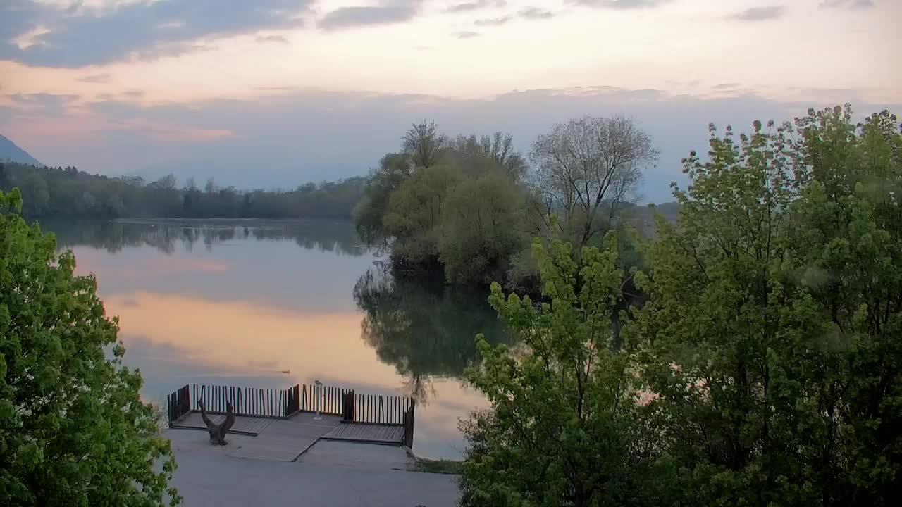 Webcam Ribnik Vrbje – Žalec