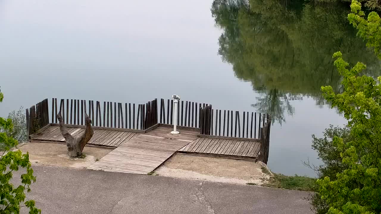 Web kamera Ribnik Vrbje – Žalec