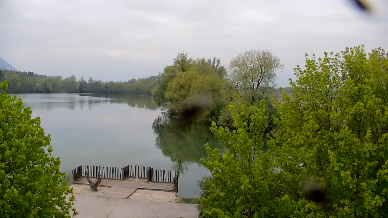 Web kamera Ribnik Vrbje – Žalec