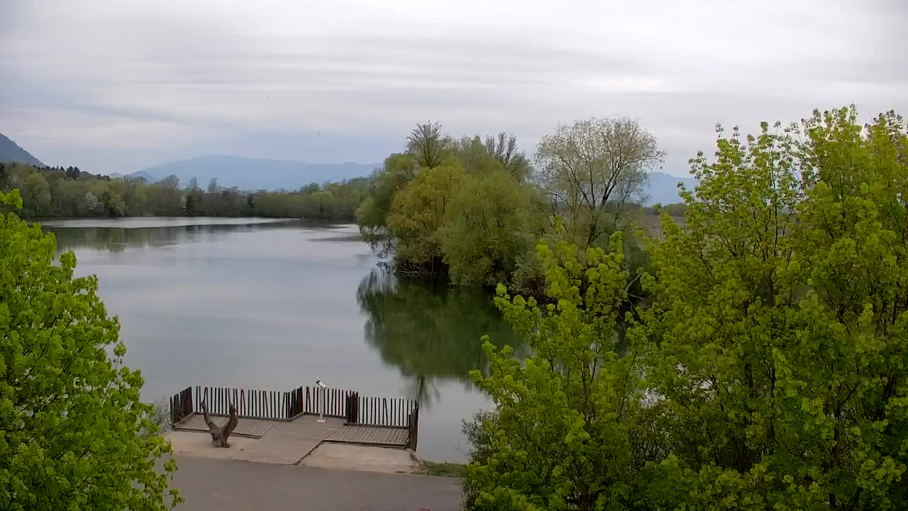 Webcam Ribnik Vrbje – Žalec