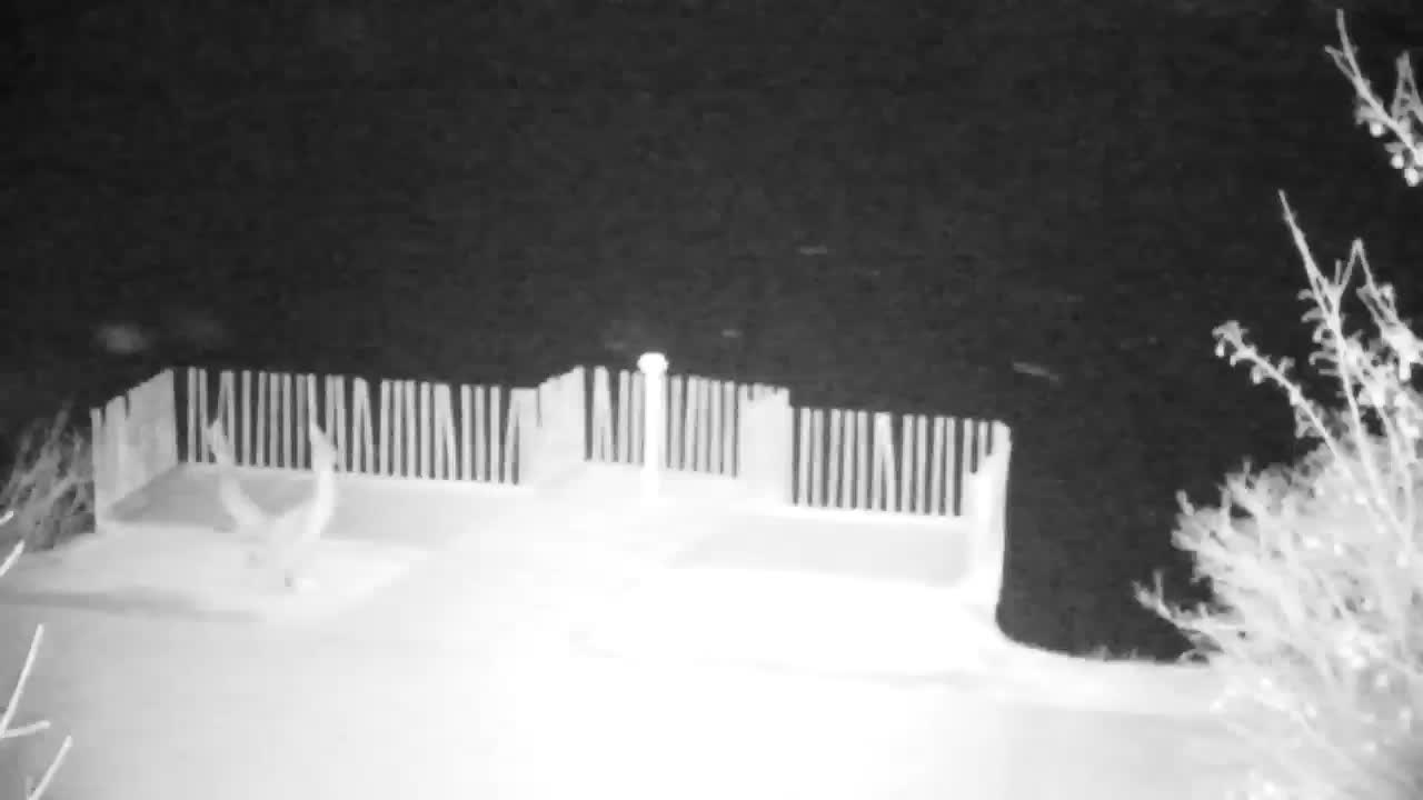 Web kamera Ribnik Vrbje – Žalec