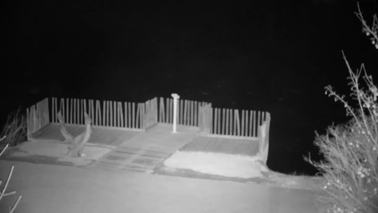 Webcam Ribnik Vrbje – Žalec