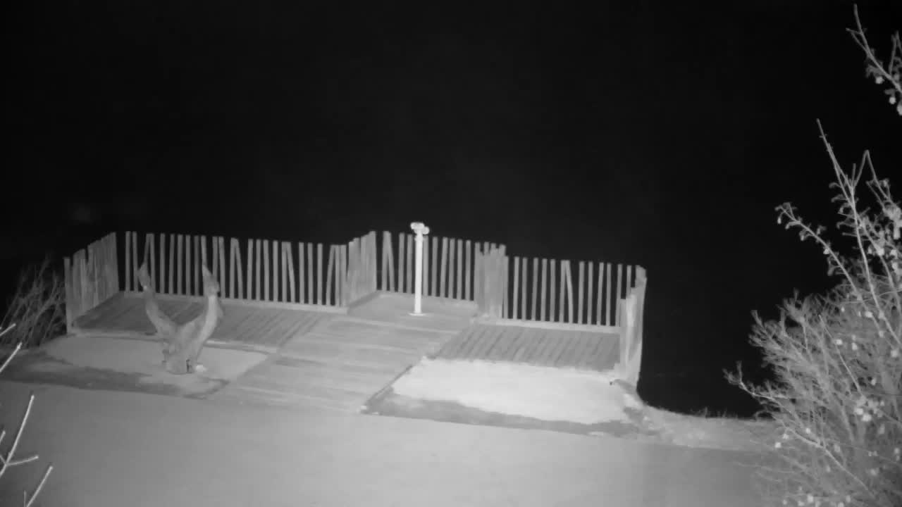 Spletna kamera Ribnik Vrbje – Žalec