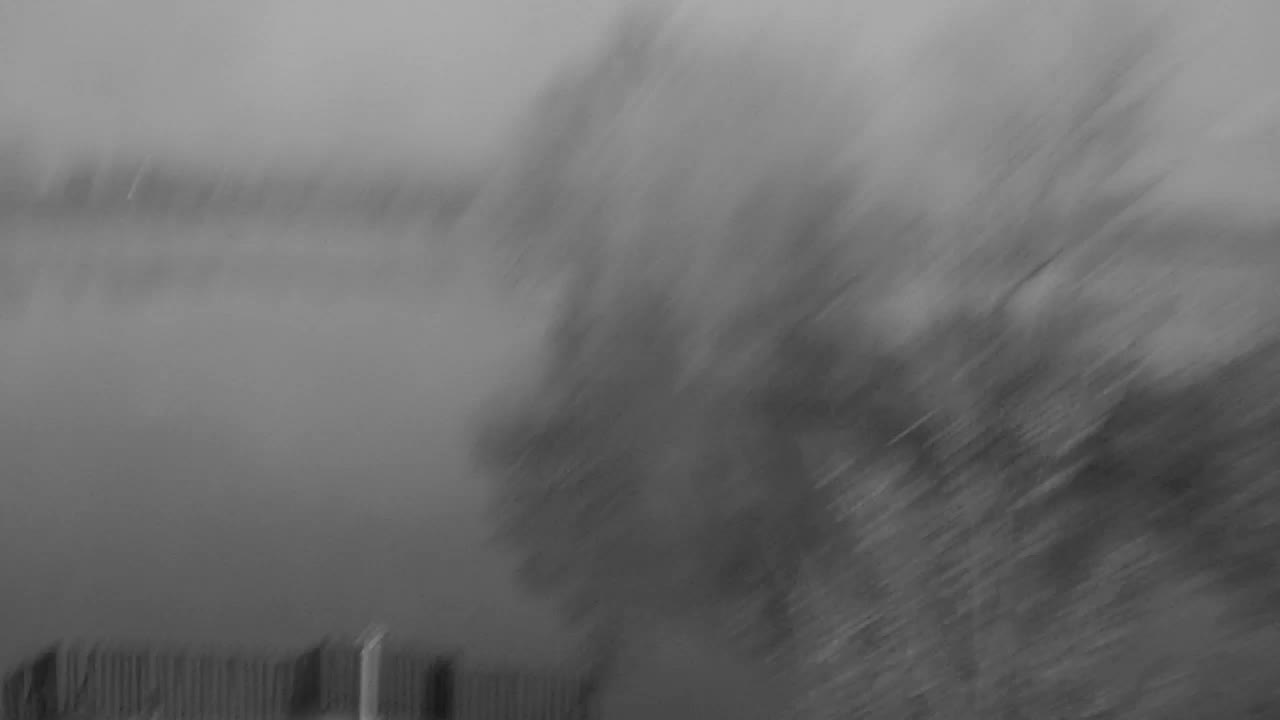 Webcam Ribnik Vrbje – Žalec