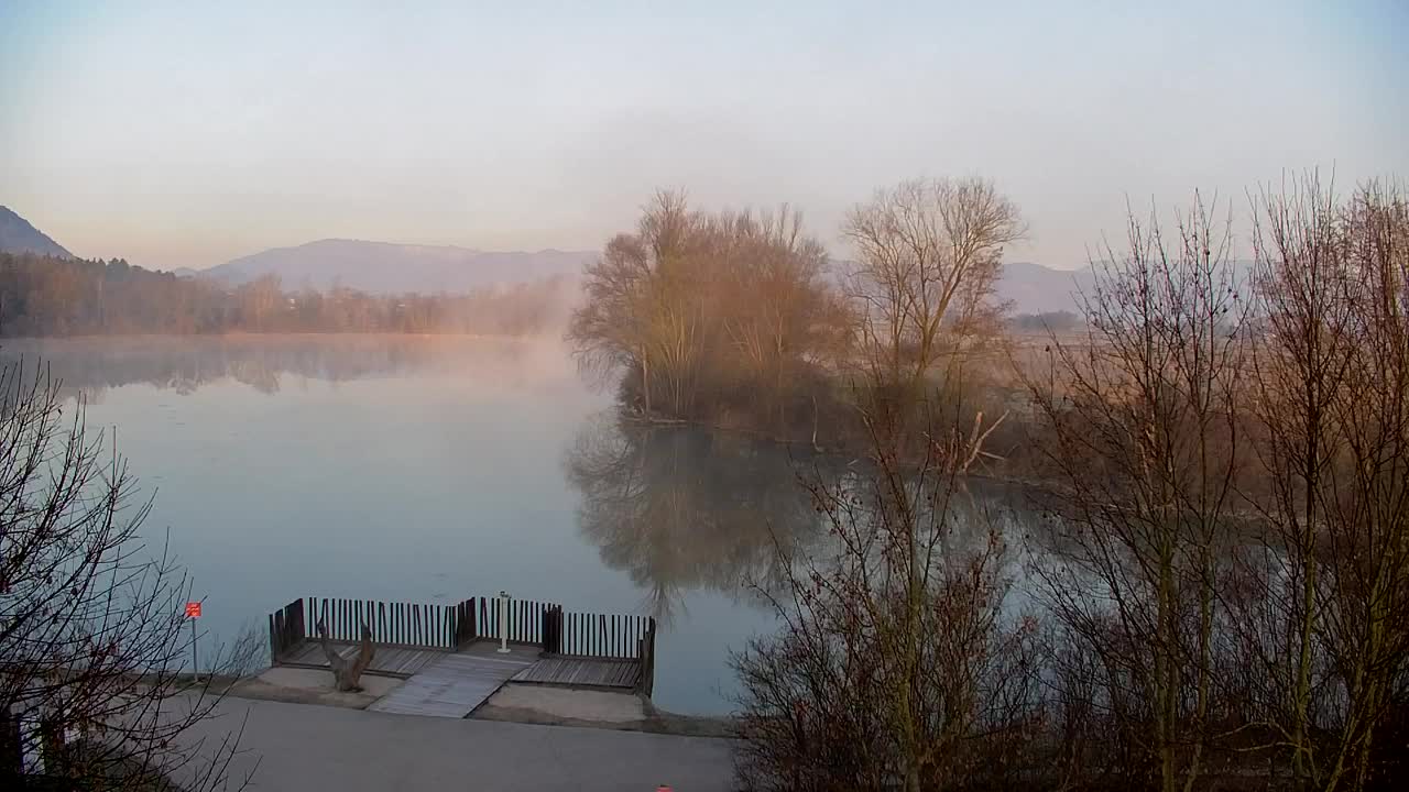 Webcam Ribnik Vrbje – Žalec