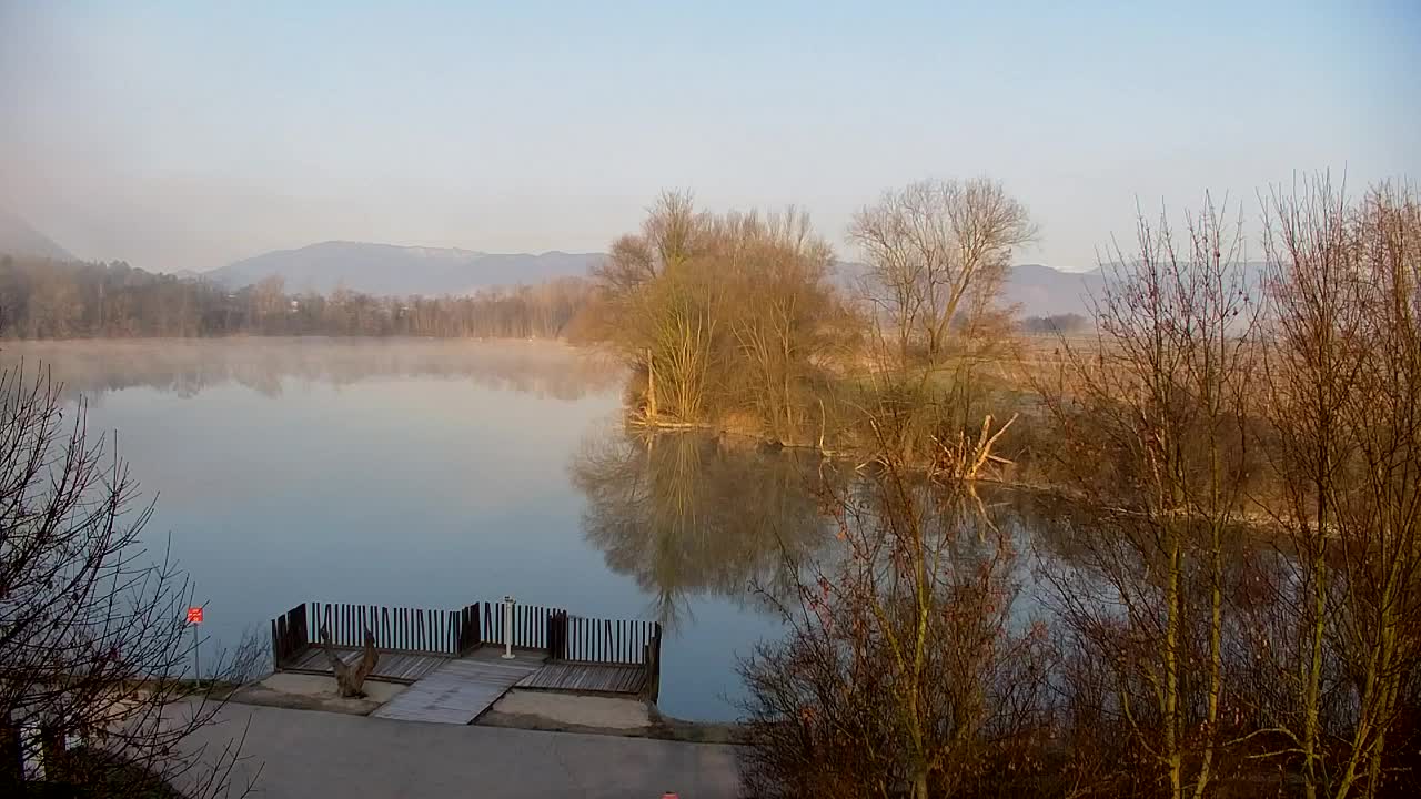 Web kamera Ribnik Vrbje – Žalec