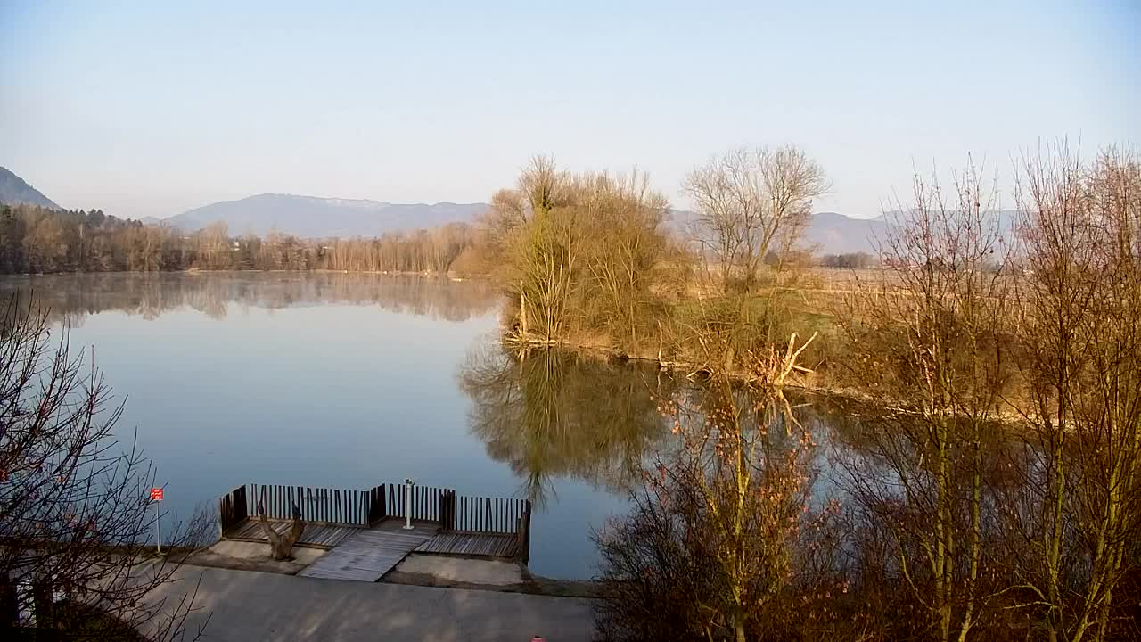 Webcam Ribnik Vrbje – Žalec