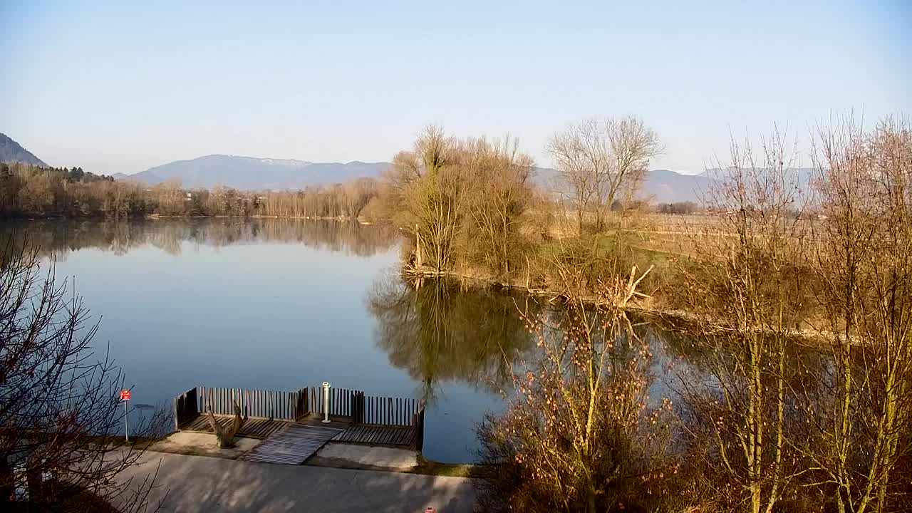 Spletna kamera Ribnik Vrbje – Žalec