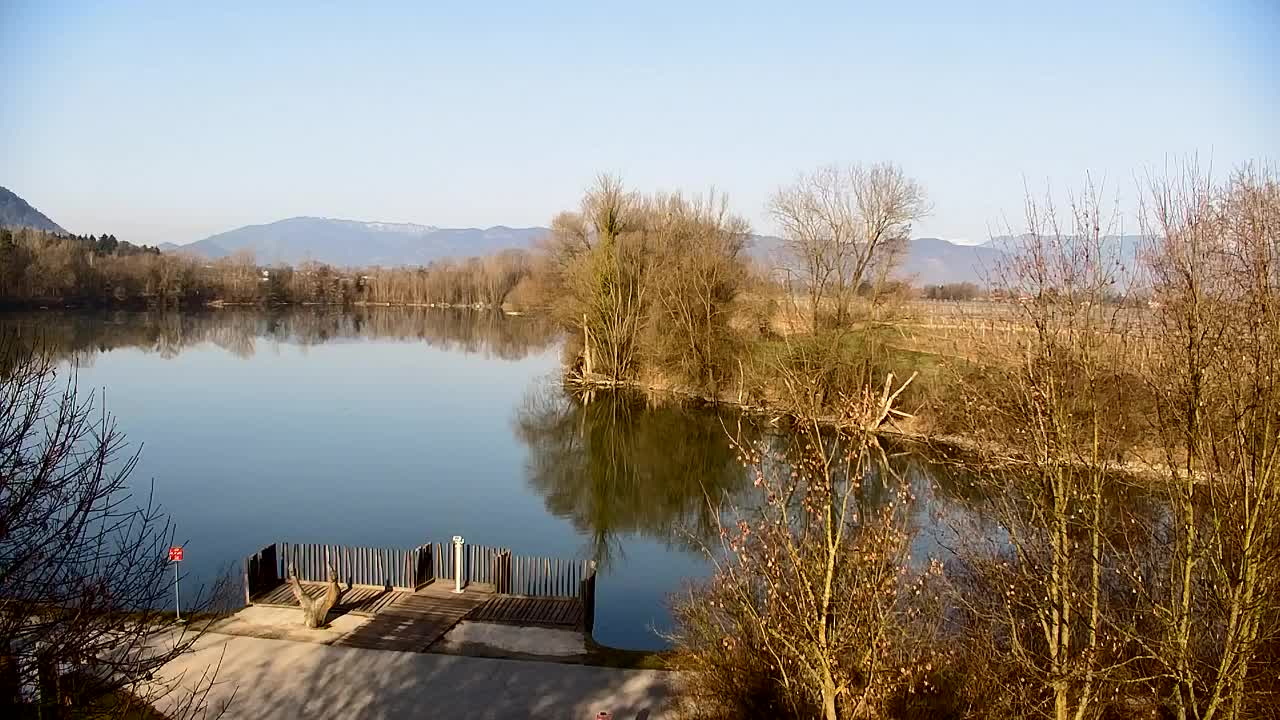 Webcam Ribnik Vrbje – Žalec