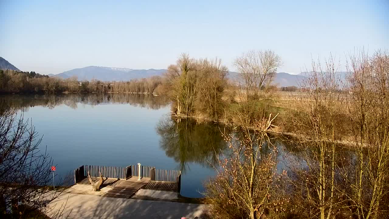 Webcam Ribnik Vrbje – Žalec