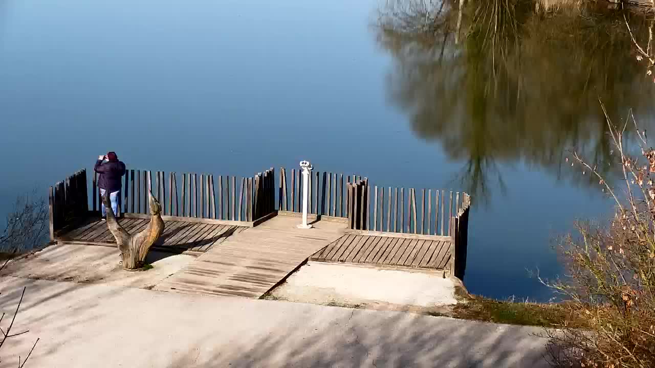 Webcam Ribnik Vrbje – Žalec