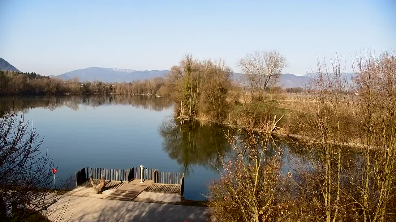 Webcam Ribnik Vrbje – Žalec