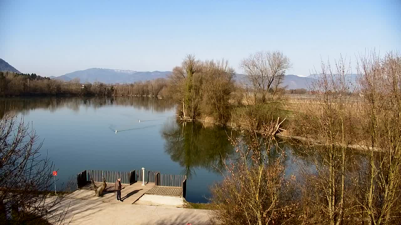 Webcam Ribnik Vrbje – Žalec