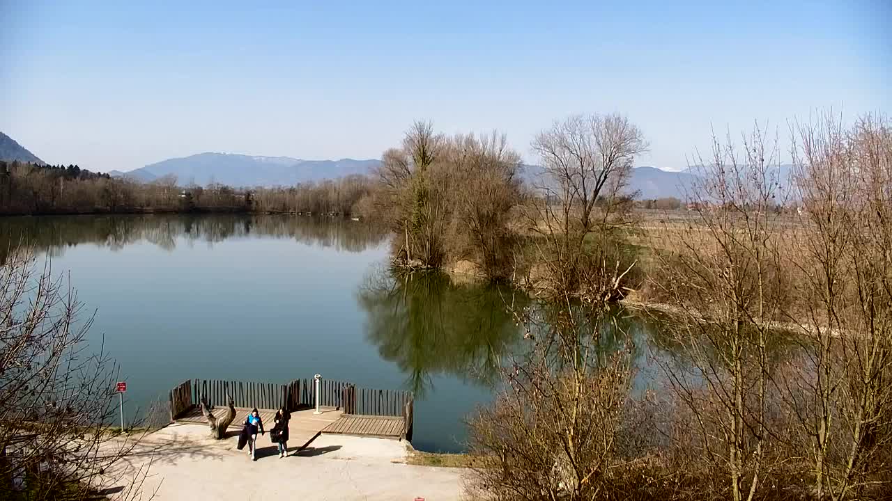 Webcam Ribnik Vrbje – Žalec