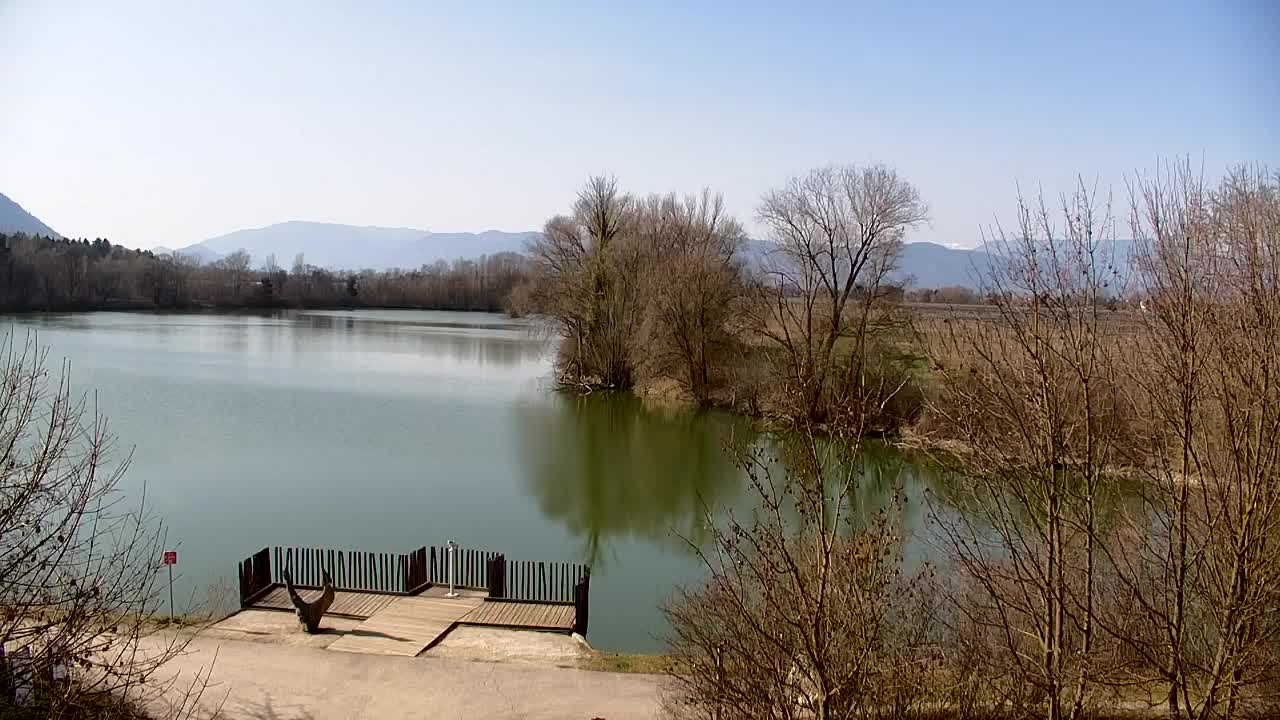 Spletna kamera Ribnik Vrbje – Žalec