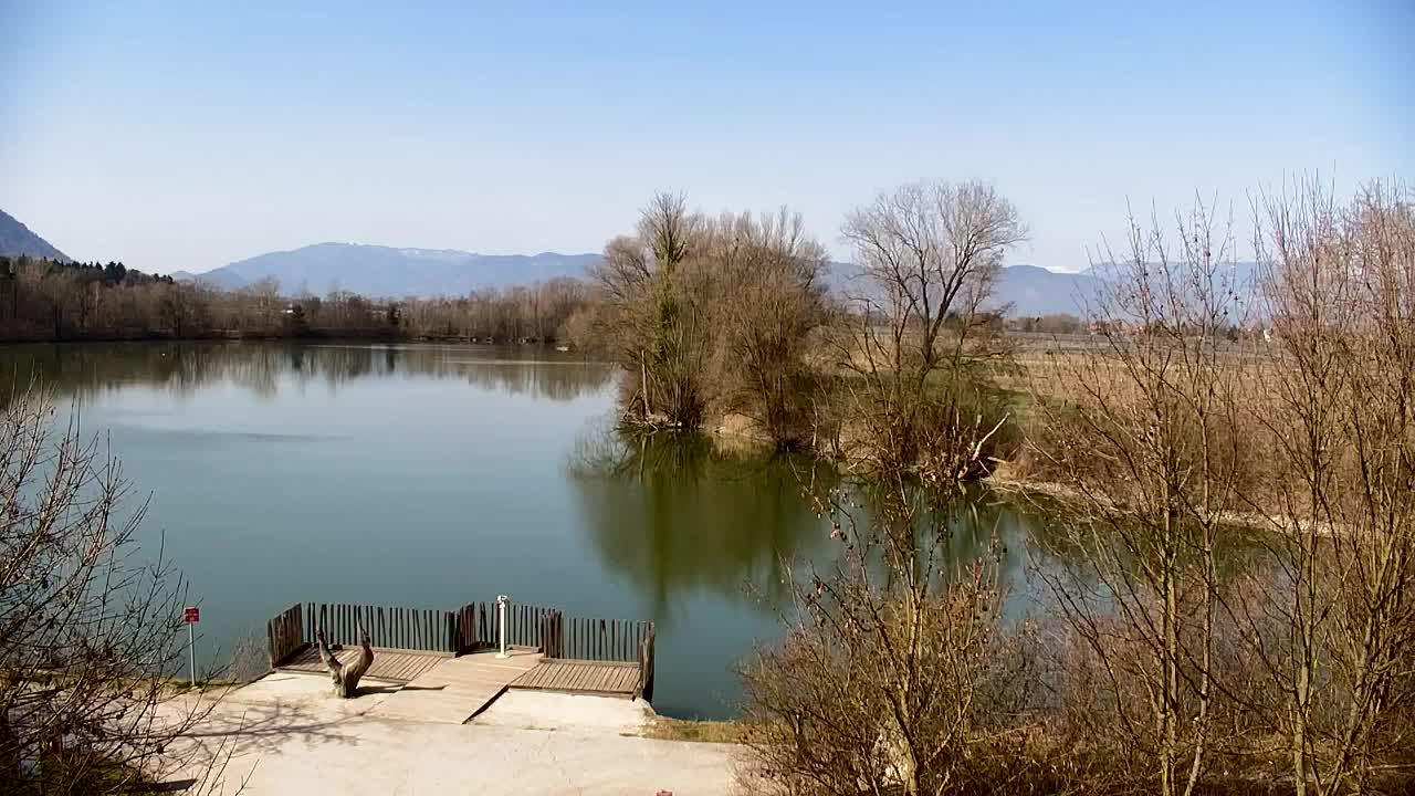 Spletna kamera Ribnik Vrbje – Žalec