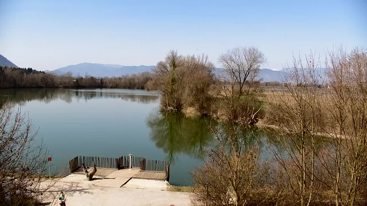 Webcam Ribnik Vrbje – Žalec