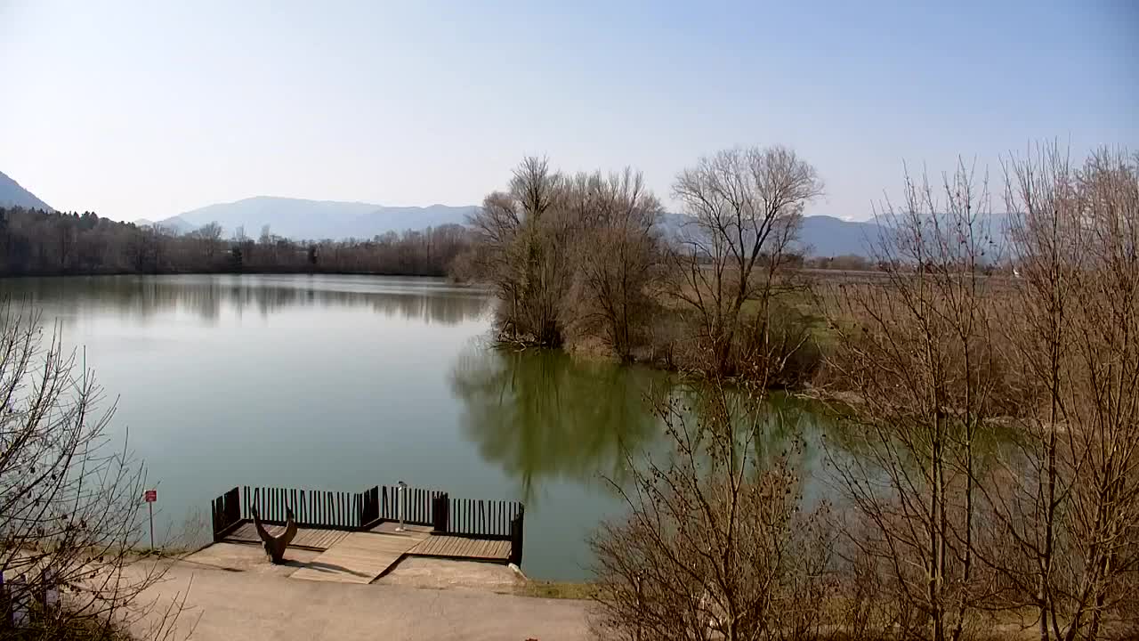 Web kamera Ribnik Vrbje – Žalec