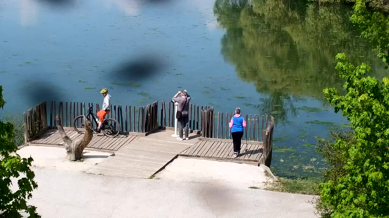 Webcam Ribnik Vrbje – Žalec