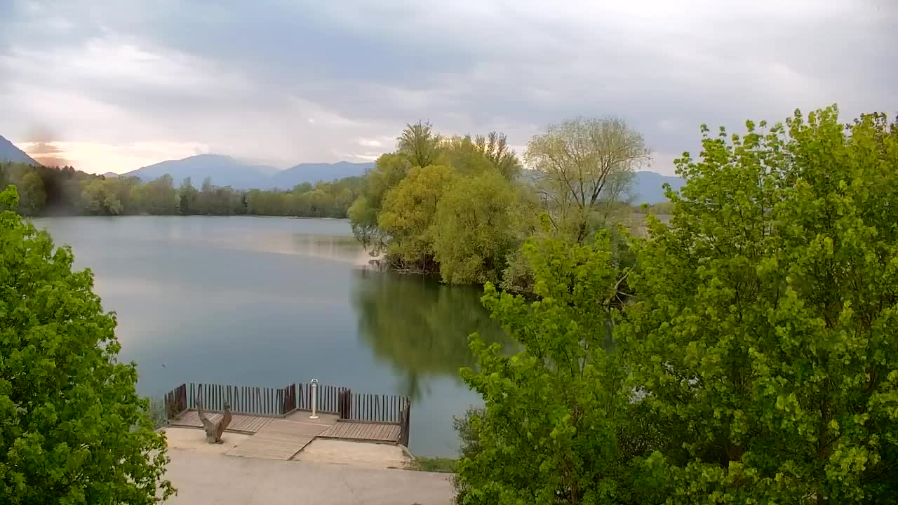 Webcam Ribnik Vrbje – Žalec