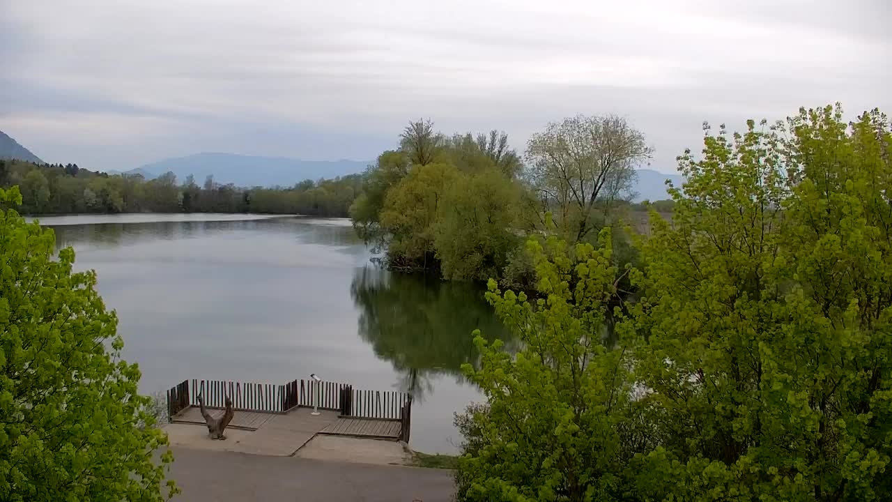 Webcam Ribnik Vrbje – Žalec