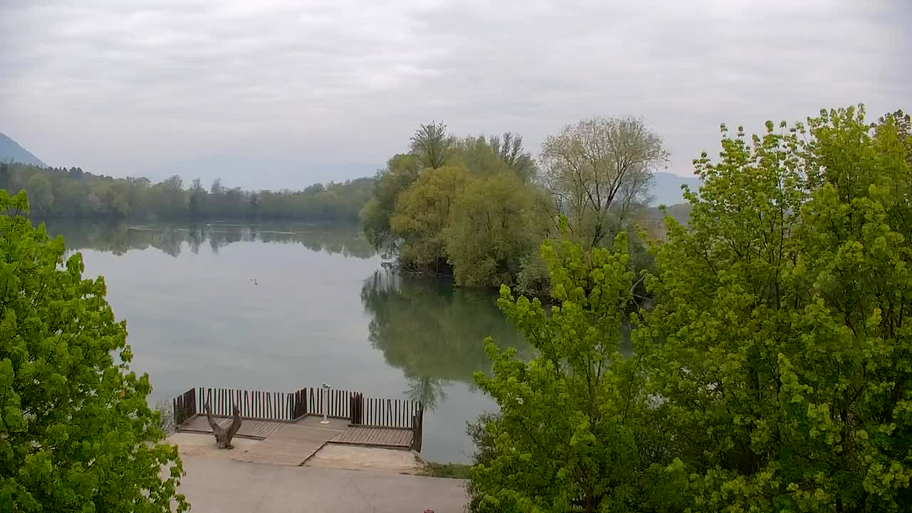 Webcam Ribnik Vrbje – Žalec