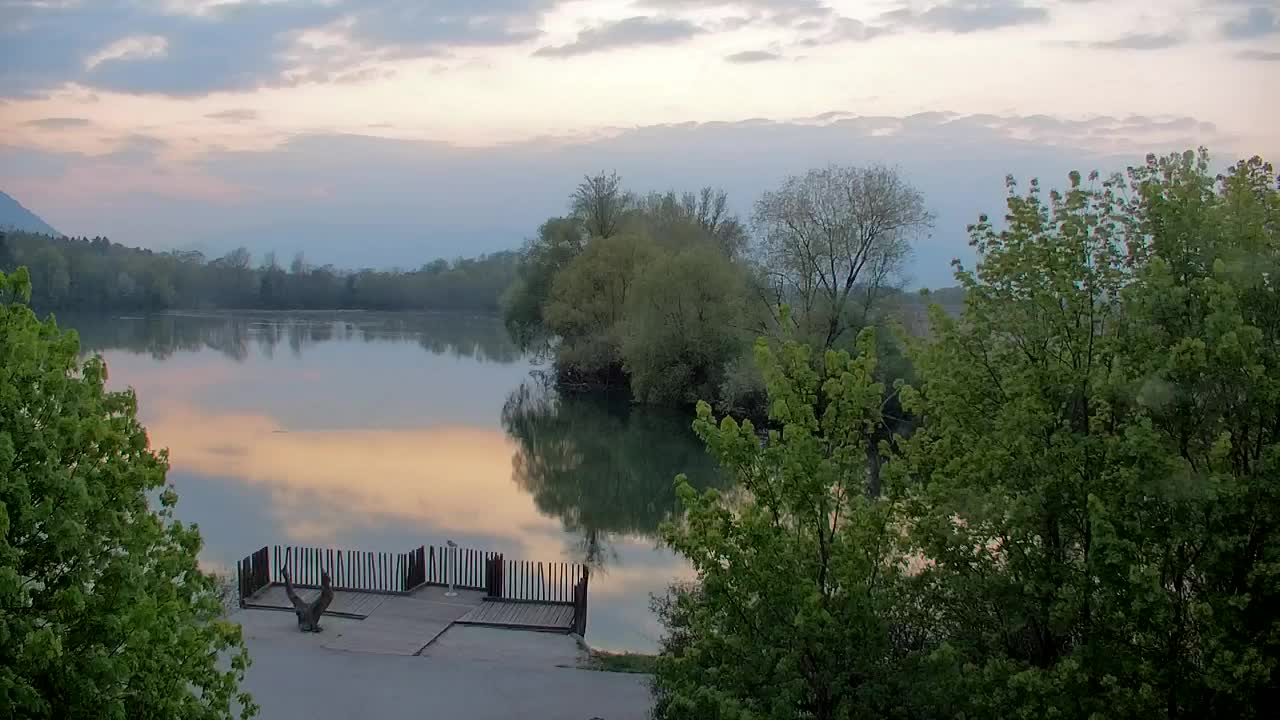 Webcam Ribnik Vrbje – Žalec