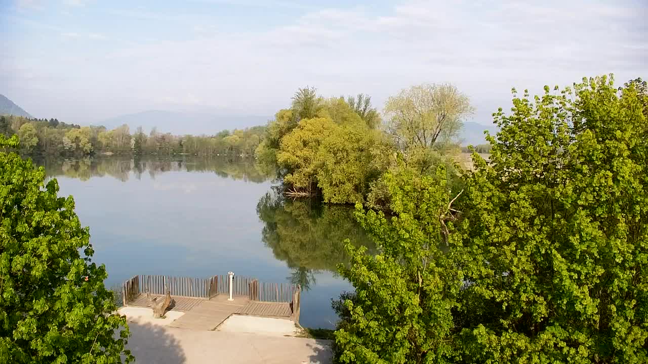 Spletna kamera Ribnik Vrbje – Žalec