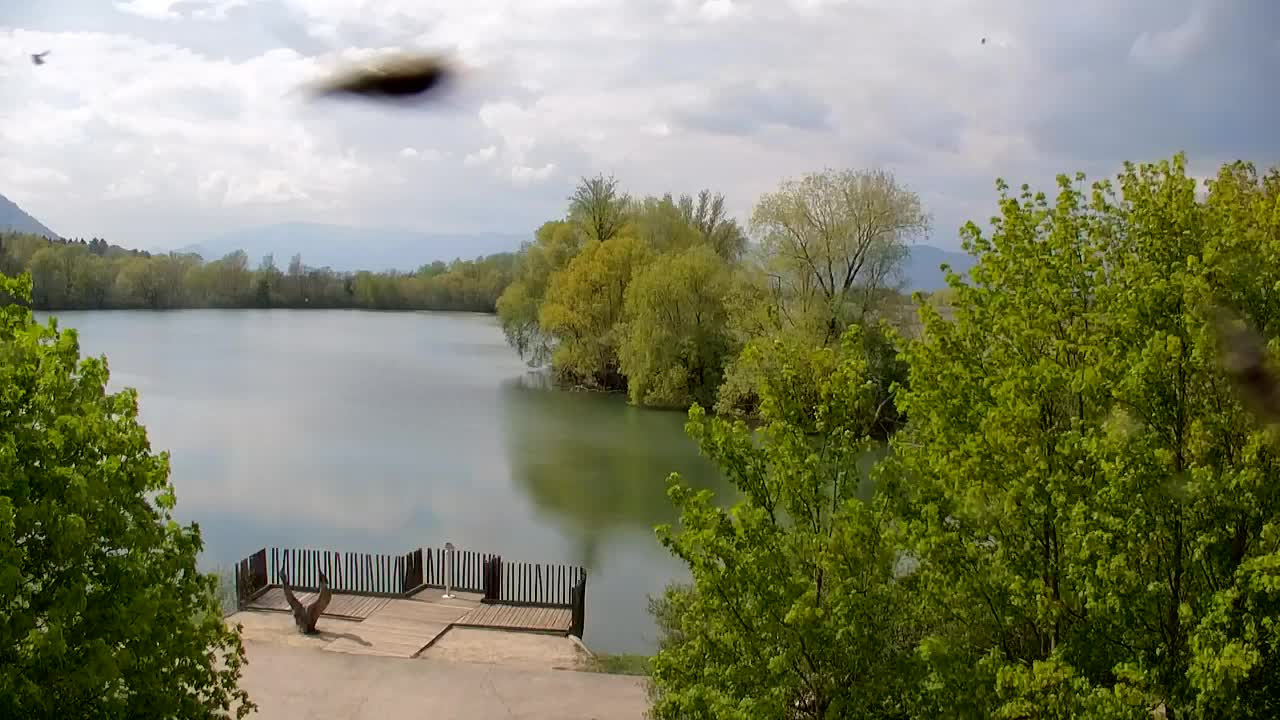 Webcam Ribnik Vrbje – Žalec