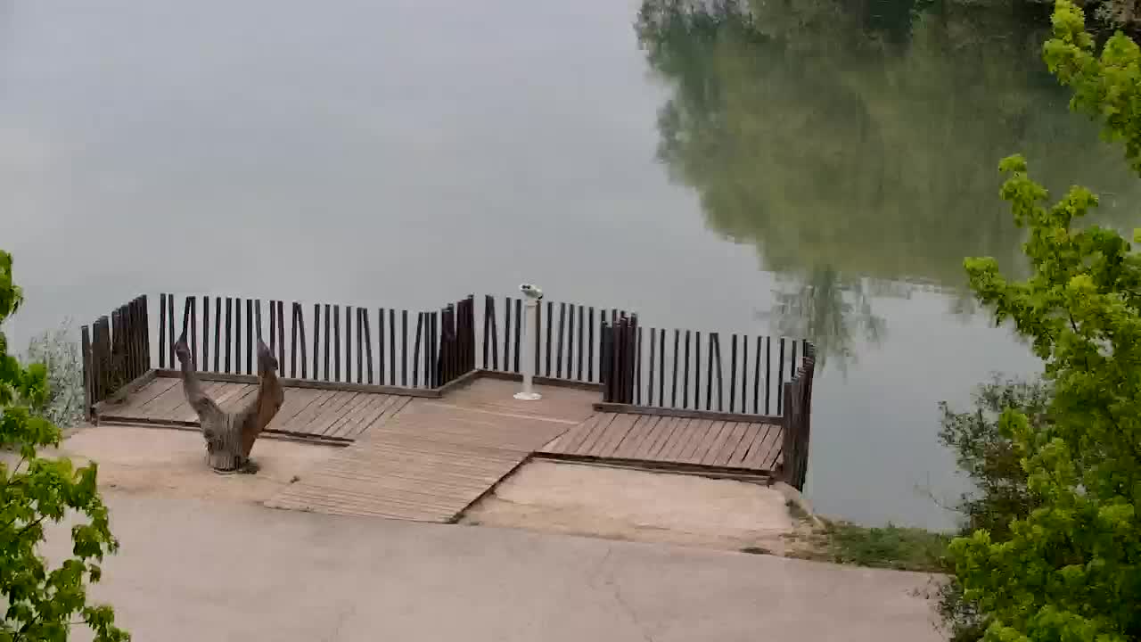 Webcam Ribnik Vrbje – Žalec