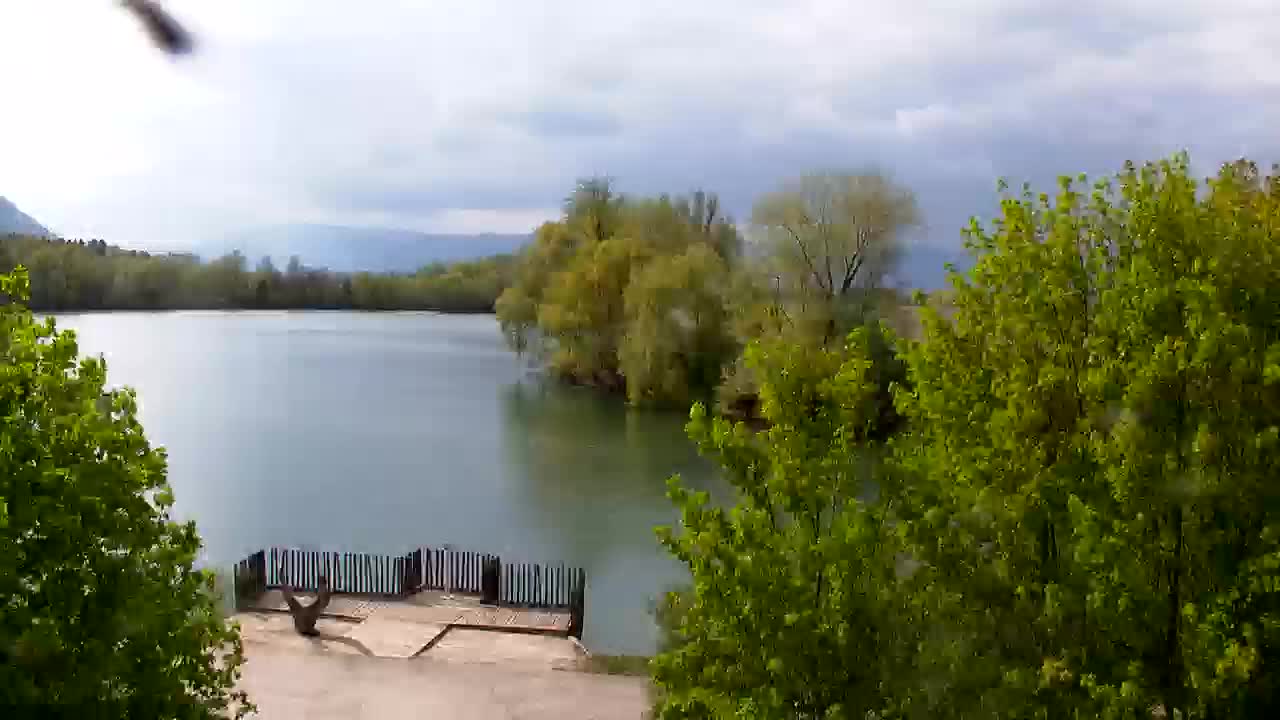 Spletna kamera Ribnik Vrbje – Žalec