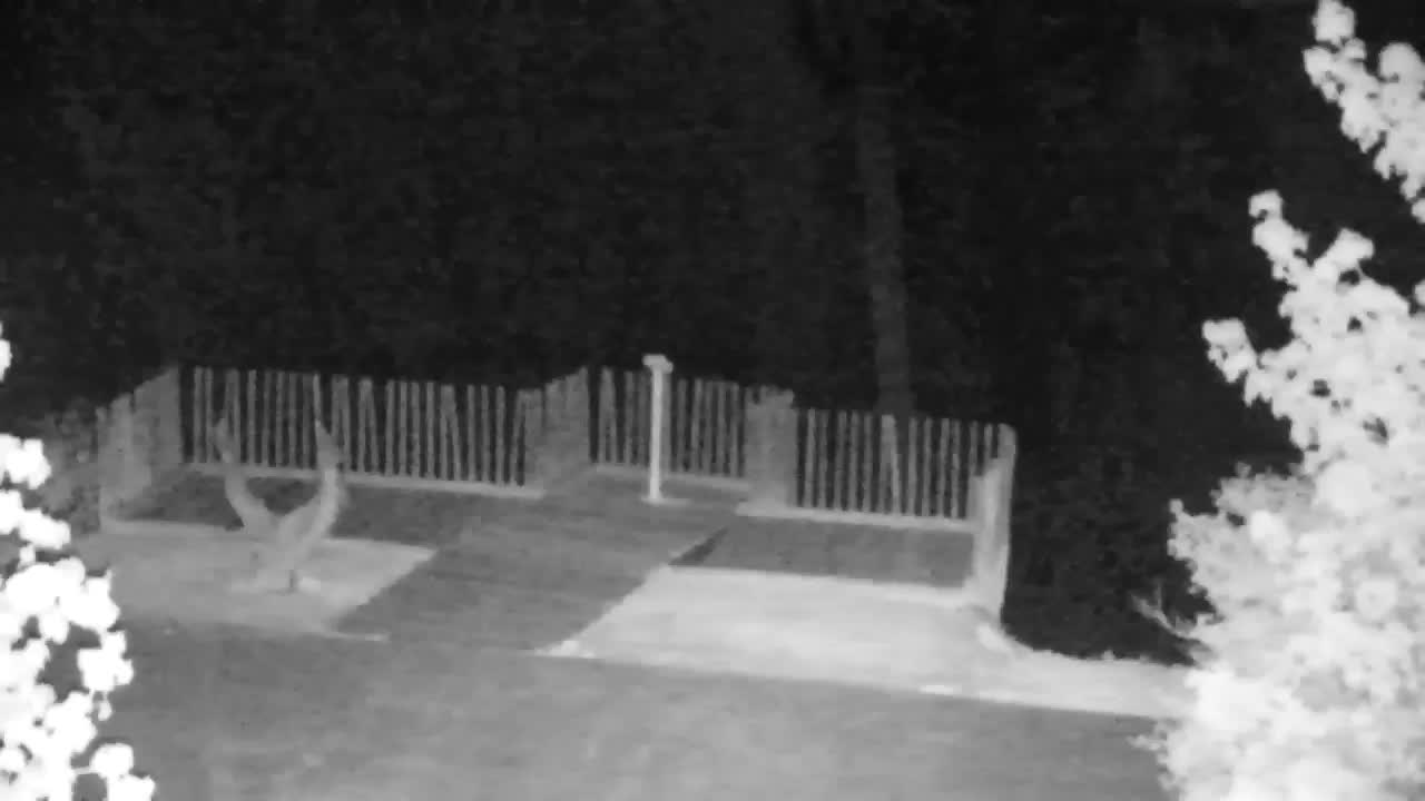 Webcam Ribnik Vrbje – Žalec